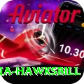 antigua hawksbill Games (Casino & Earning) Deluxe v3.5.7