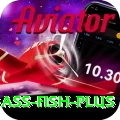 bass fish - Turbo v4.4.6