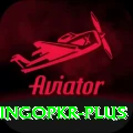 bingopkr Plus Edition v3.4.8