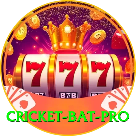 cricket bat - Gaming VIP - 2