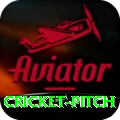 cricket pitch Pro1 v5.2.7