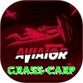 grass carp Plus Edition v2.8.6