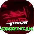 hong kong cricket team Turbo v5.9.8