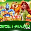 india cricket match Gold Pro v4.2.4