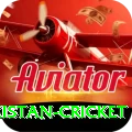 india pakistan cricket Ultimate v4.8.1