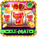 international cricket match Pro Max v5.1.9