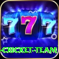ireland cricket team VIP v2.6.2