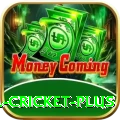 most runs in international cricket Elite Gaming App