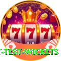 most test wickets Plus Edition v2.4.3