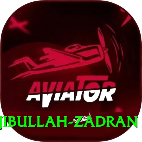 najibullah zadran Pro1 v2.2.3 - 2