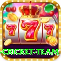 new zealand cricket team Premium Plus v5.8.5