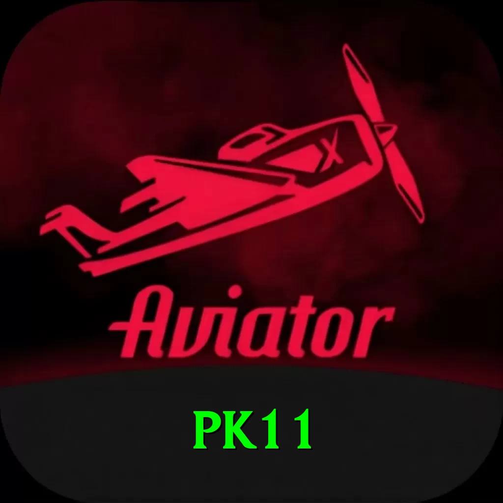 pk11 Pro Edition v2.0.9 - 2