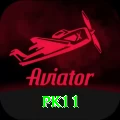 pk11 Pro Edition v2.0.9