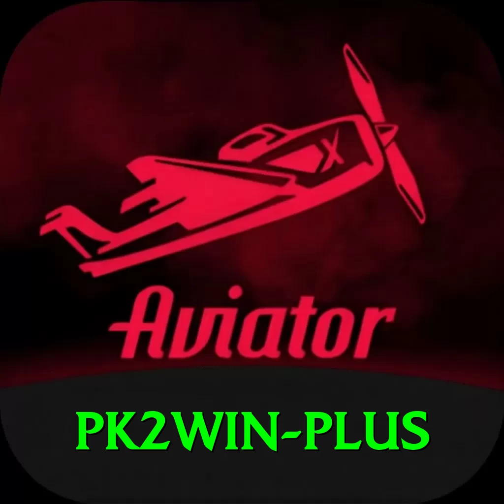 pk2win Pro Edition v3.1.2 - 2