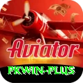 pkwin Premium Edition v4.1.3