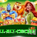 risk free bet cricket VIP Edition v1.5.0