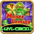 smartcric live cricket Turbo Pro v2.8.8