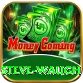 steve waugh Premium v5.9.1