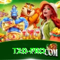 t20 Mega v4.3.5