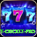 test cricket Bonus Gold v4.7.7