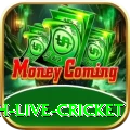 watch live cricket Plus Pro v4.6.8