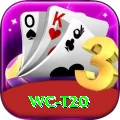 wc t20 Apps (Tools & Injectors) Deluxe v5.7.2